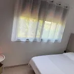 Ani With Fireplace