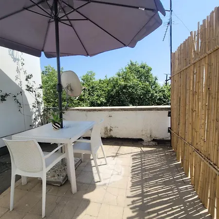 Ani With Fireplace *