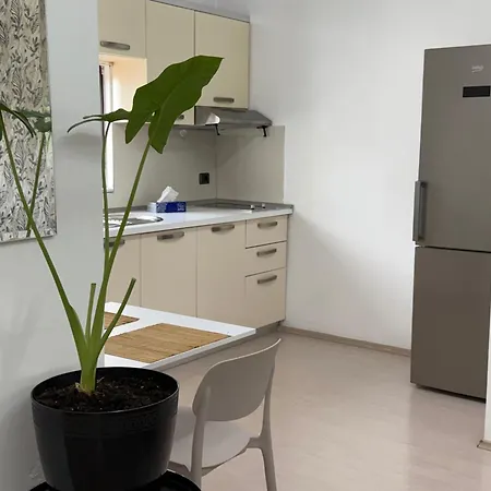 Ani With Fireplace تيرانا